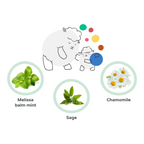 Fresh Cooling Kids Shampoo 600ml